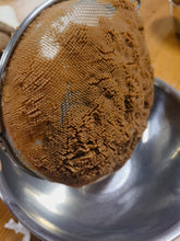 Load image into Gallery viewer, 🌰 Wakuri•Mont Blanc Okara Cake 7”
『 和栗 の おからケーキ 』