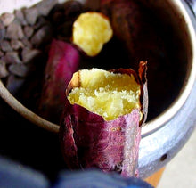 Load image into Gallery viewer, Be Hamtaro 焼石