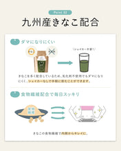 Load image into Gallery viewer, Kyushu Amino Protein Drink Powder (100% plant-based) 300g