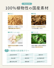 Load image into Gallery viewer, Kyushu Amino Protein Drink Powder (100% plant-based) 300g