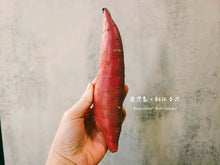 Load image into Gallery viewer, 日本石焼•蜜薯芝士蛋糕专修课
【 Ishi Yaki-Imo Cheesecake Workshop 】