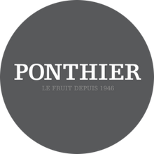 Load image into Gallery viewer, Ponthier Apricot Puree 1kg 冷凍アプリコットピューレ