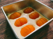 Load image into Gallery viewer, Wakayama Kankitsu Cheesecake 和歌山の酒渍柑橘使用し