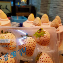 Load image into Gallery viewer, Sakura Awayuki Mille Crepe Cake 桜香るの 「淡雪」 クレープケーキ