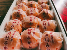 Load image into Gallery viewer, Wakayama Kankitsu Cheesecake 和歌山の酒渍柑橘使用し