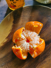 Load image into Gallery viewer, Wakayama Kankitsu Cheesecake 和歌山の酒渍柑橘使用し
