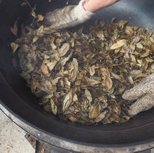 Load image into Gallery viewer, Miyazaki Organic Yuzu Kamairicha Leaf 宮崎茶房有機の釜炒柚子茶葉 50g
