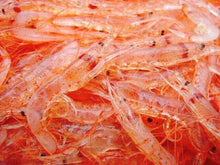 Load image into Gallery viewer, Sakura Shirmp 駿河湾產樱花虾 100g