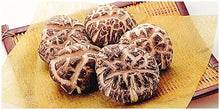 Load image into Gallery viewer, Oita's Log-cultivated Dried Mushroom 大分県産高級原木花菇