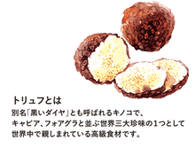 Load image into Gallery viewer, Morita Black Tuffle Sauce 盛田黑松露酱油 100ml