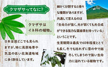 Load image into Gallery viewer, Hokkaido Kumazasa Green Juice Powder 北海道産熊笹清汁粉末100%