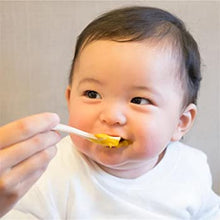 Load image into Gallery viewer, Hokkaido Corn Powder (Flakes)   北海道玉米糊栗米糊(粉片状)10gx6