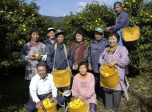 Load image into Gallery viewer, Yuzu Juice 100% 手搾り柚子汁 200ml