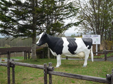 Load image into Gallery viewer, Mt.Iwate Koiwai Milk 岩手県小岩井牛乳 200ml