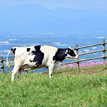Load image into Gallery viewer, Kumamoto Aso-Shi Cow Milk 熊本県大阿蘇牛乳 200ml