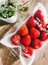 Load image into Gallery viewer, St. valentine's day Gift Set 限定発売