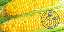 Load image into Gallery viewer, Hokkaido Corn Powder (Flakes)   北海道玉米糊栗米糊(粉片状)10gx6