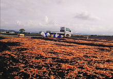 Load image into Gallery viewer, Sakura Shirmp 駿河湾產樱花虾 100g