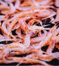 Load image into Gallery viewer, Sakura Shirmp 駿河湾產樱花虾 100g