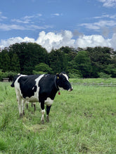 Load image into Gallery viewer, Mt.Iwate Koiwai Milk 岩手県小岩井牛乳 200ml