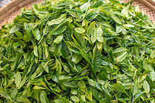 Load image into Gallery viewer, Miyazaki Organic Yuzu Kamairicha Leaf 宮崎茶房有機の釜炒柚子茶葉 50g