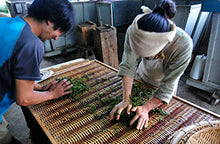 Load image into Gallery viewer, Miyazaki Organic Yuzu Kamairicha Leaf 宮崎茶房有機の釜炒柚子茶葉 50g