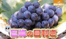Load image into Gallery viewer, Nagano Kyoho Raisin 長野県の巨峰葡萄干