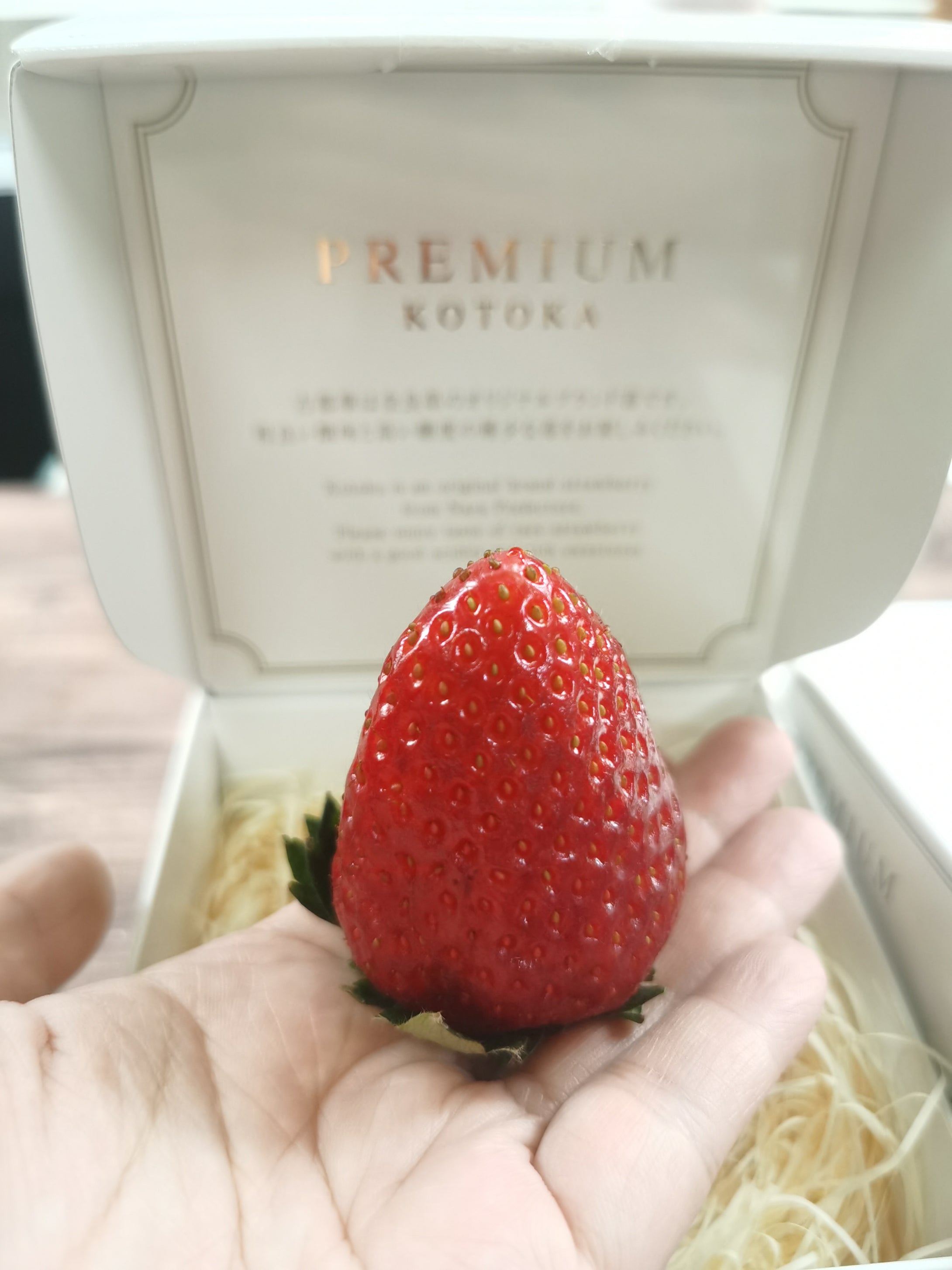 Kotoka Premium Ichigo