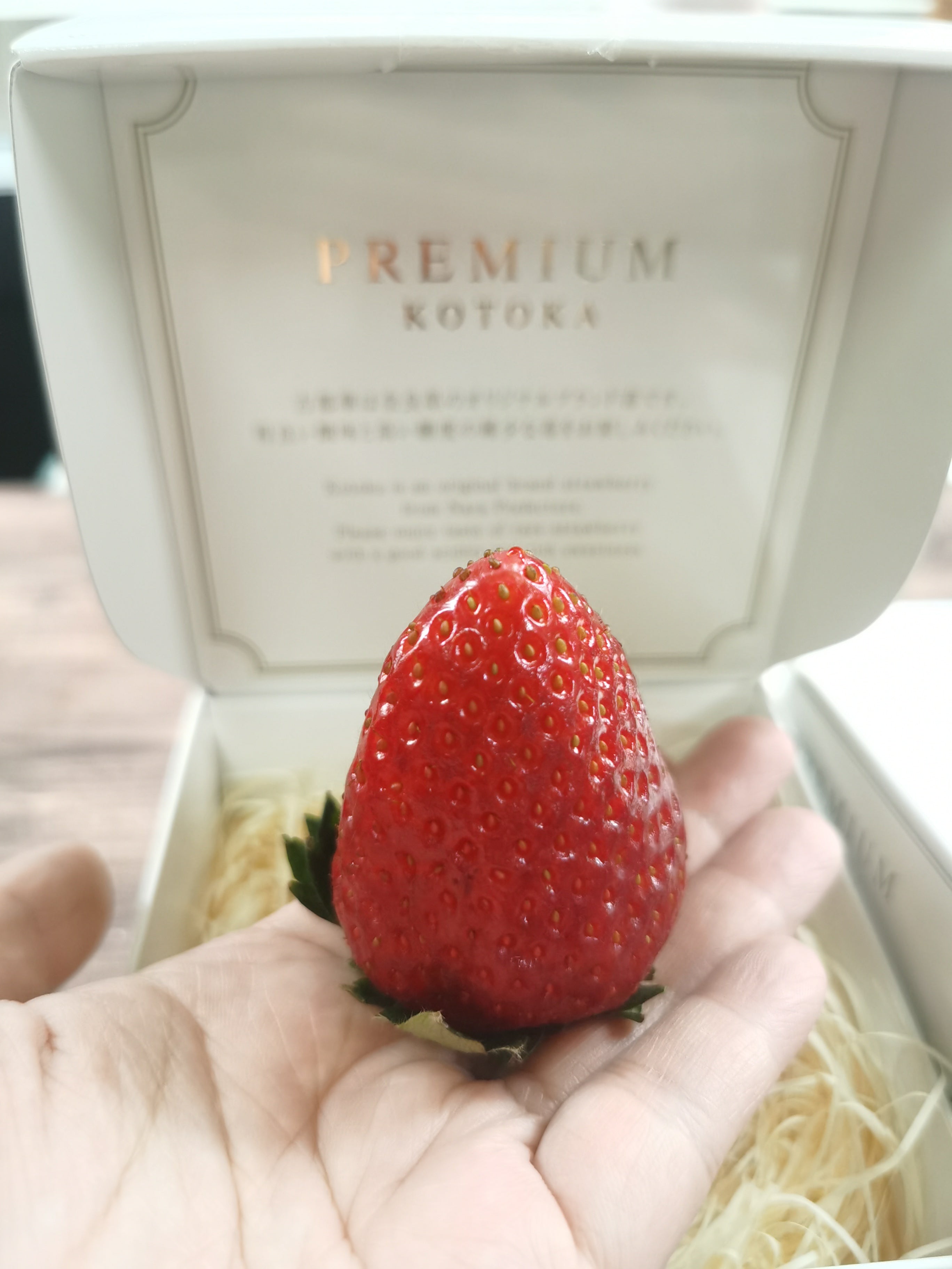 kotoka strawberry seeds Kotoka Premium Ichigo – Barbara Baking Studio