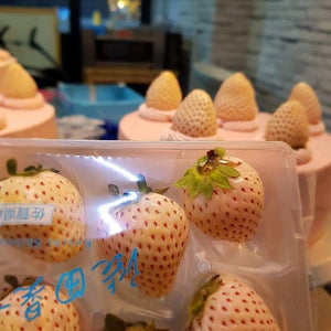Sakura Awayuki  Mille Crepe Cake 桜香るの 「淡雪」 クレープケーキ