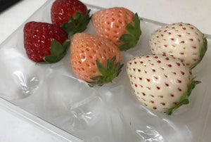 奈良県三色の莓いちご tri-colours ichigo
