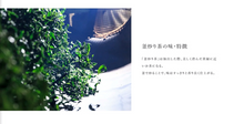 Load image into Gallery viewer, Miyazaki Organic Yuzu Kamairicha Leaf 宮崎茶房有機の釜炒柚子茶葉 50g
