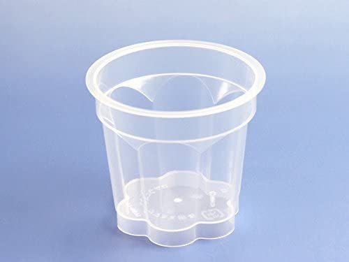 Pudding Cup with Lid 100 set