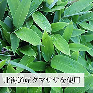 Hokkaido Kumazasa Green Juice Powder 北海道産熊笹清汁粉末100％