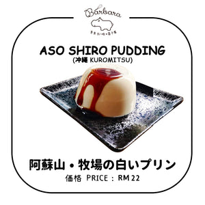 Kumamoto Aso Shiro Pudding 阿蘇山•牧場の白いプリン (14s)