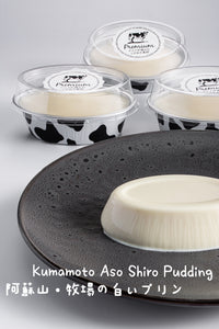 Kumamoto Aso Shiro Pudding 阿蘇山•牧場の白いプリン (14s)