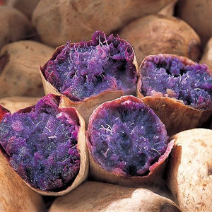 Kagoshima Purple Sweet Potato Powder 九州鹿児島産紫薯粉末 100g