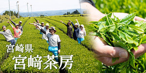 Miyazaki Organic Yuzu Kamairicha Leaf 宮崎茶房有機の釜炒柚子茶葉 50g